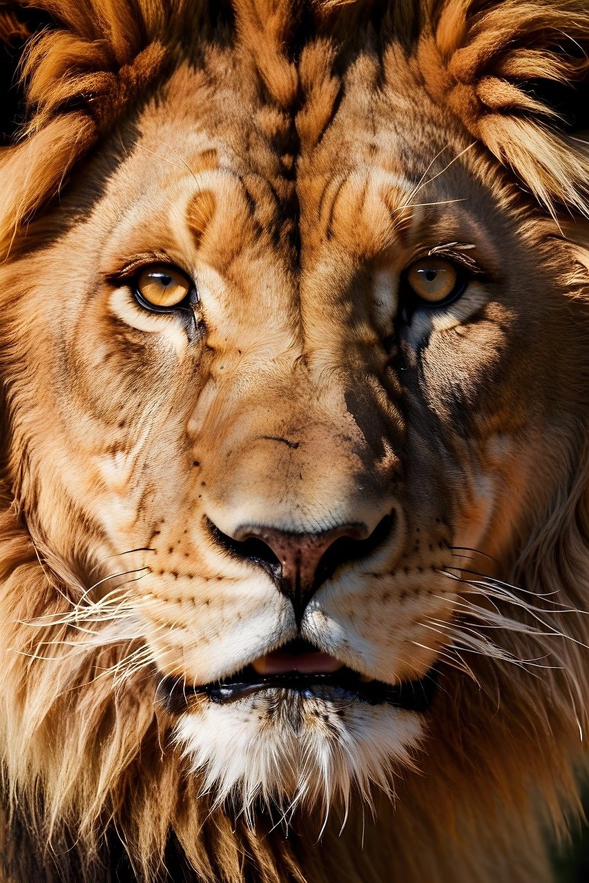 ai generated, lion, animal-8565092.jpg